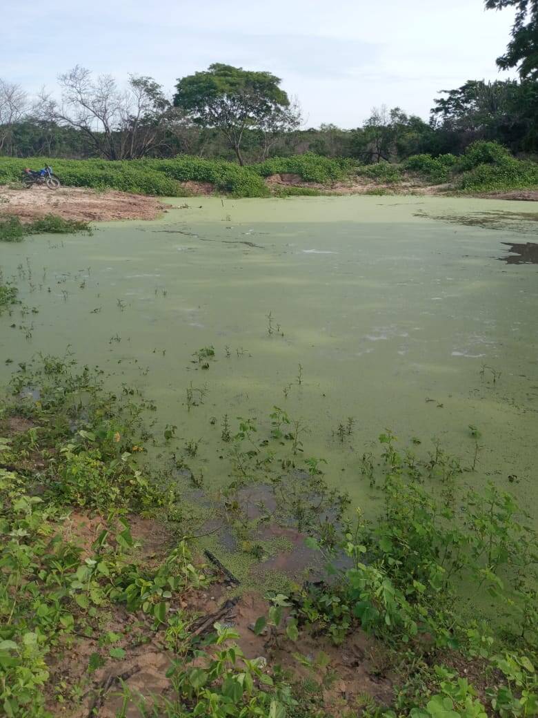 #419 - Fazenda para Venda em Bonfim do Piauí - PI