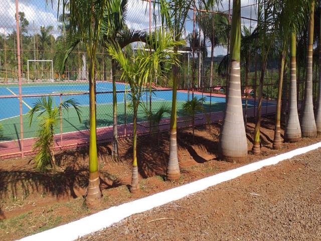 #369 - Chácara para Venda em Piraju - SP