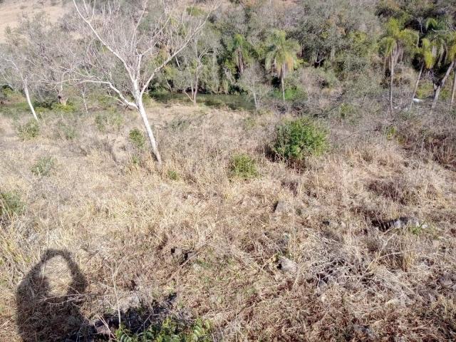 #376 - Sítio para Venda em Piraju - SP - 3