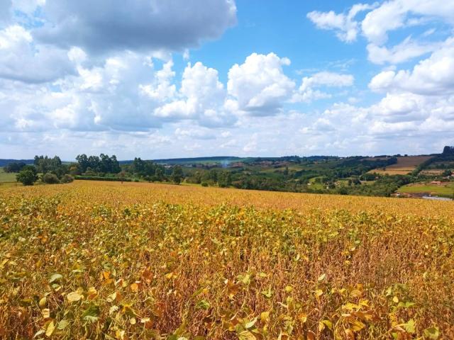 #426 - Fazenda para Venda em Sarutaiá - SP - 2